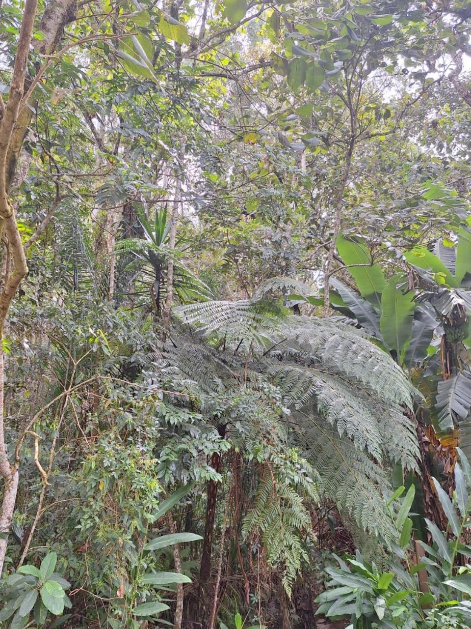 Chacara Ladeira De Pedra Villa Salesopolis Luaran gambar