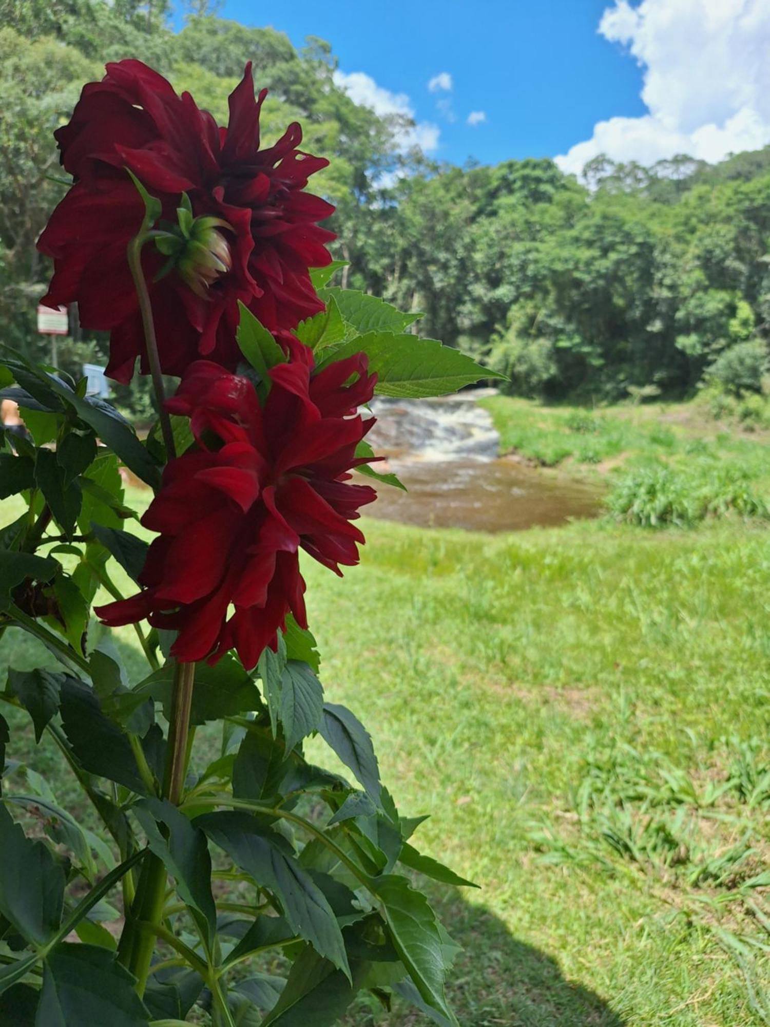 Chacara Ladeira De Pedra Villa Salesopolis Luaran gambar